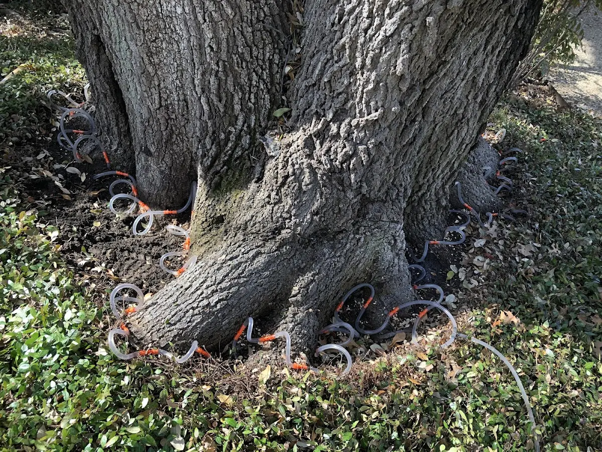 Detailed Shrub and Hedge Trimming job site in Rosharon